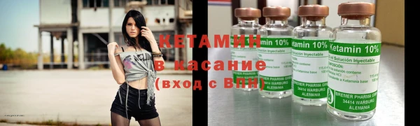 прущие грибы Нефтекумск