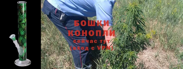 ГАЛЛЮЦИНОГЕННЫЕ ГРИБЫ Абаза
