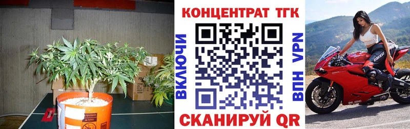 даркнет сайт  Шали  Дистиллят ТГК THC oil 
