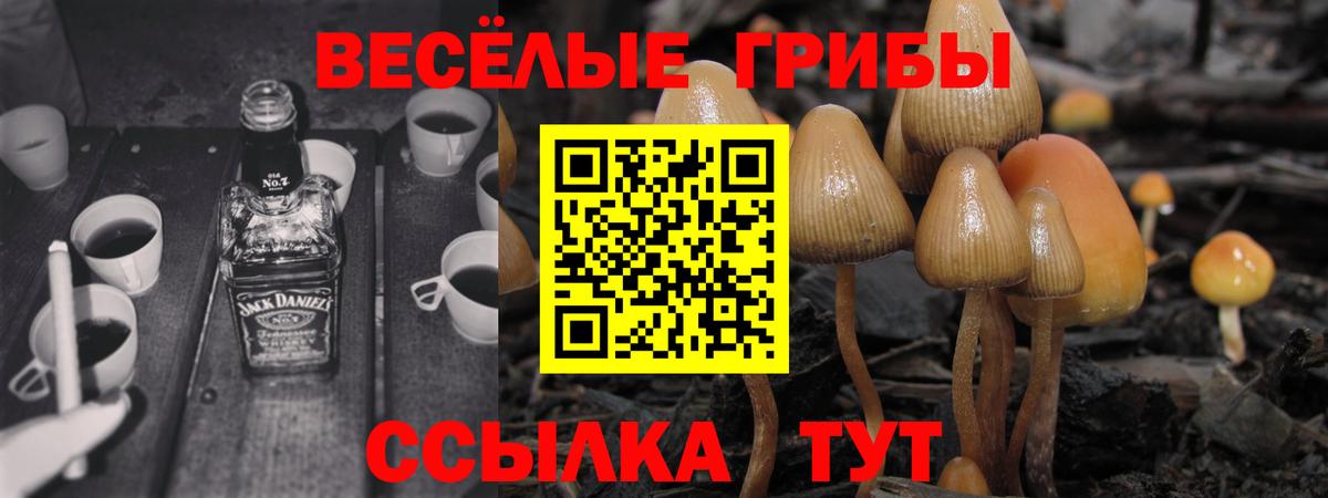 Псилоцибиновые грибы мицелий  Вход с VPN  Шали 